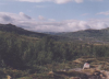28 Hardangervida.jpg